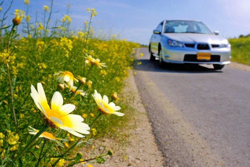 It's Springtime Car Care Time | Wichita Auto Care