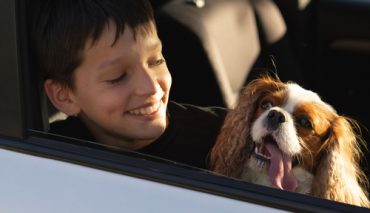 Kids, Pets and Hot Cars | Maple Street Auto Air