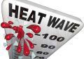 Wichita Extreme Heat: Is Your Car Ready for the Kansas Summer?